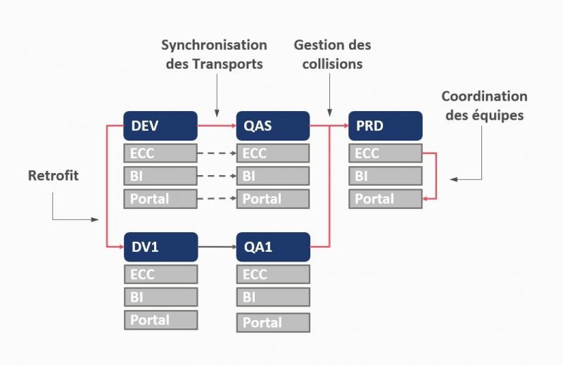 Parrallel Development SAP