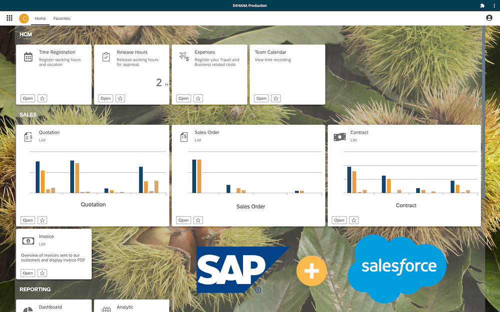Intégration SAP Salesforce